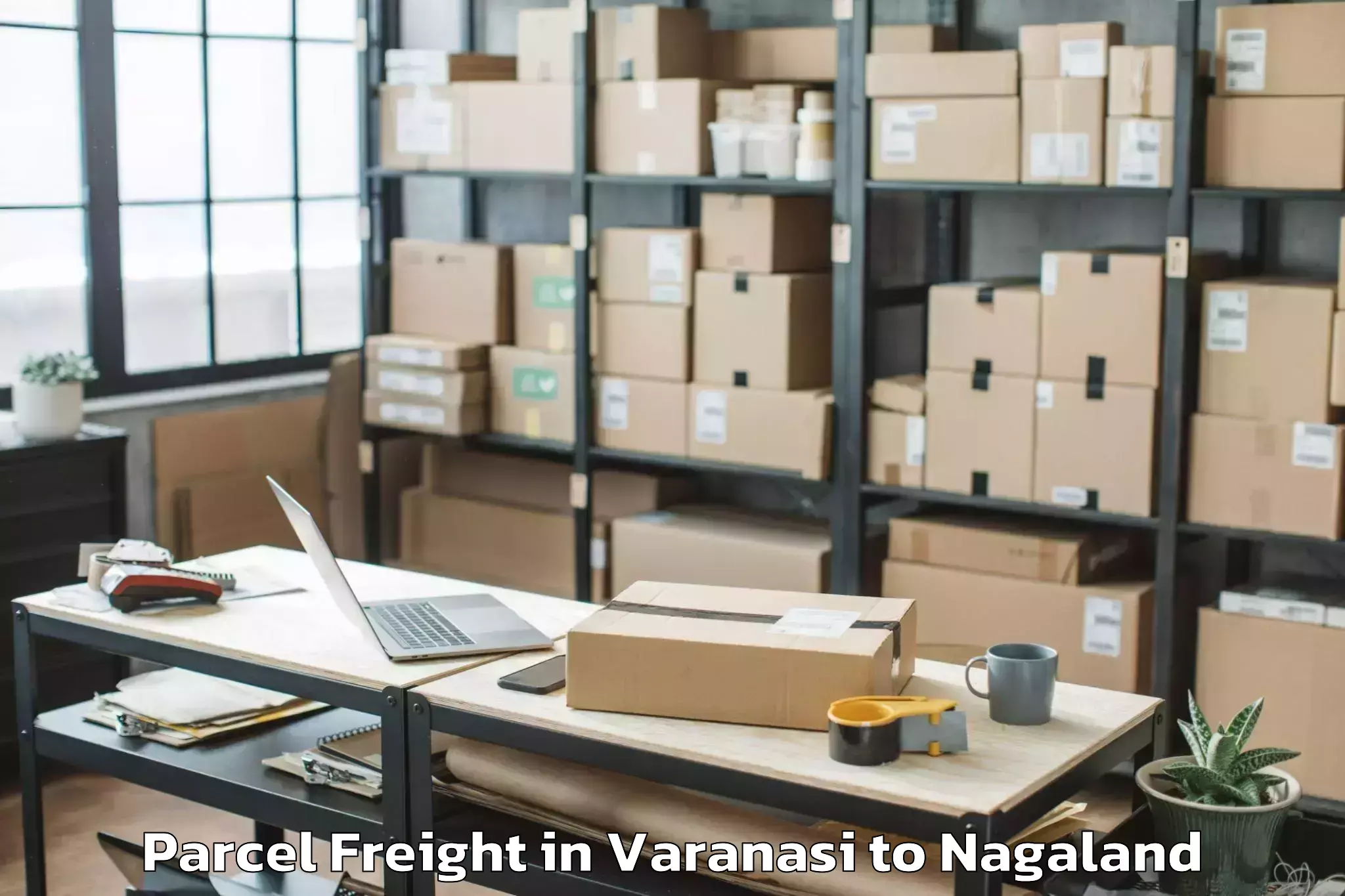 Book Varanasi to Pughoboto Parcel Freight Online